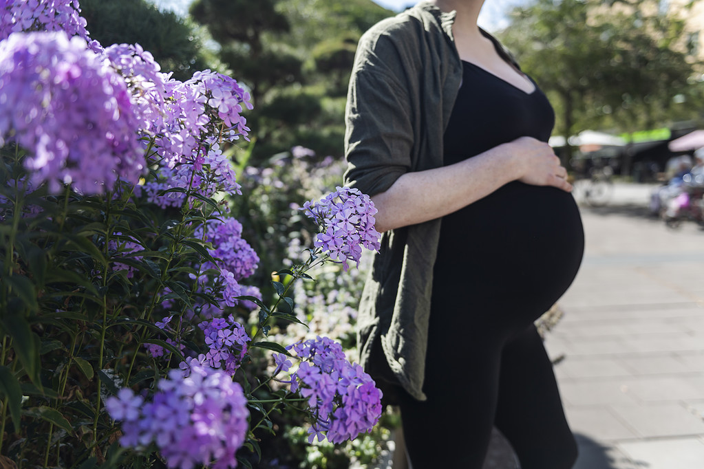 Gravid Gravid